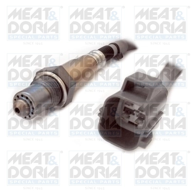Oxygen Sensor